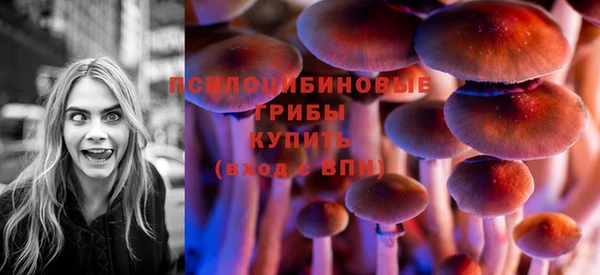 молекула духа Дмитровск