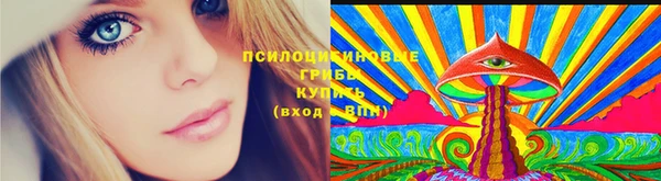 мяу мяу кристалл Дмитров
