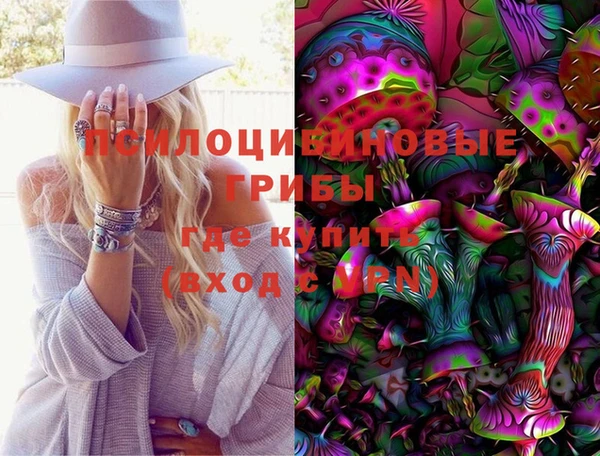 молекула духа Дмитровск