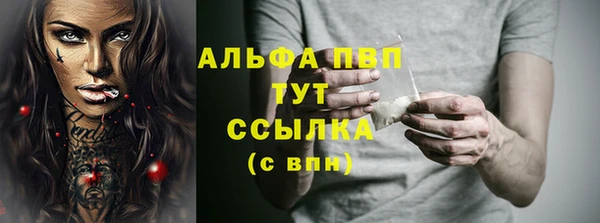меф Дмитриев